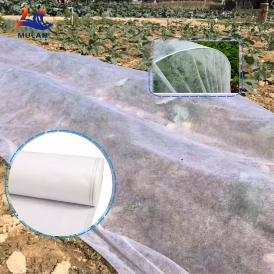 17g PP Spunbond Non Woven for Agriculture Cover